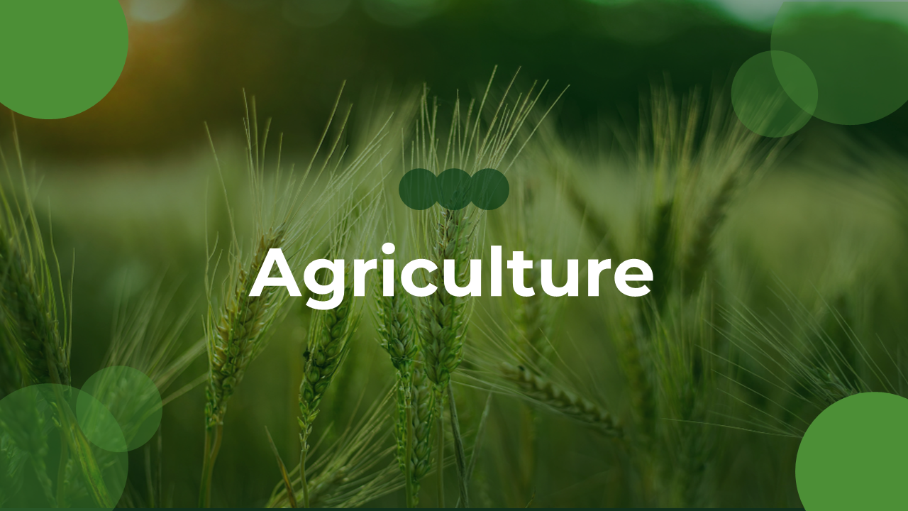 Agriculture Service