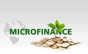 Microfinance Service